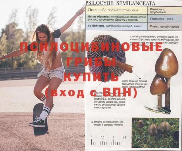 мдпв Балахна