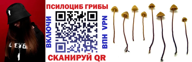 это какой сайт  Электросталь  Галлюциногенные грибы мицелий  даркнет сайт 