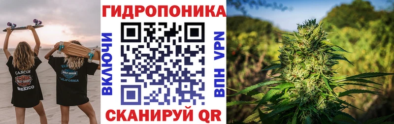 mega рабочий сайт Электросталь Шишки марихуана Ganja
